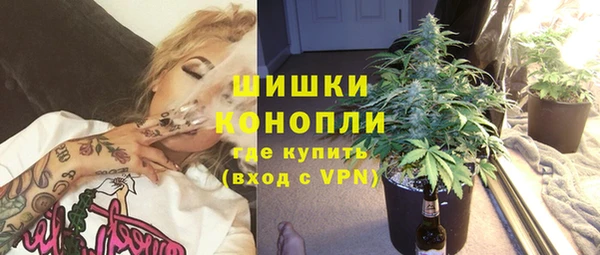 скорость Гусев