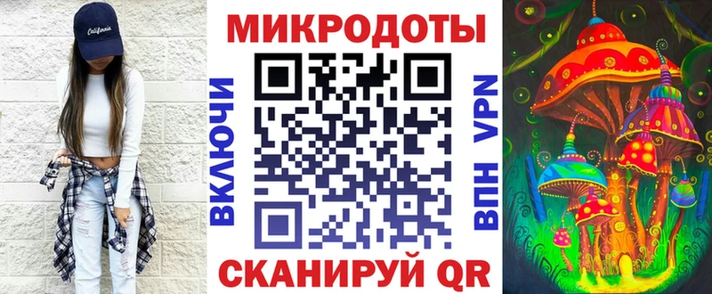 Купить Фокино Галлюциногенные грибы Cubensis